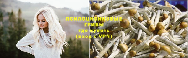 МДПВ Нефтегорск