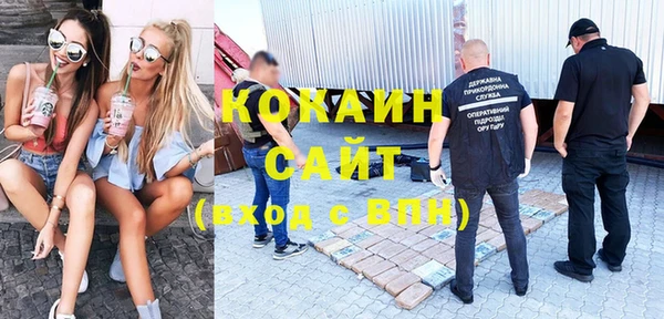 крисы Балахна