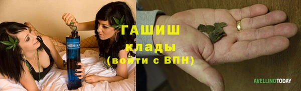 ГАЛЛЮЦИНОГЕННЫЕ ГРИБЫ Баксан