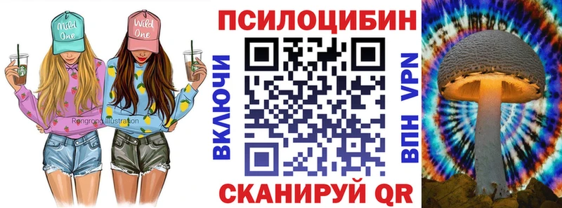 мега вход  Семилуки  Псилоцибиновые грибы прущие грибы 