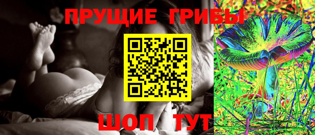 Семилуки  Псилоцибиновые грибы прущие грибы  Вход с VPN 