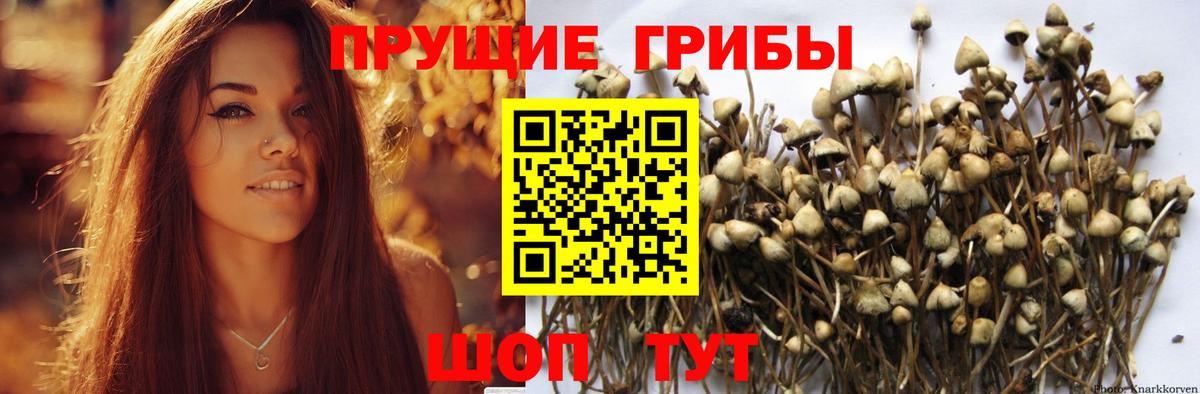Псилоцибиновые грибы мухоморы Семилуки